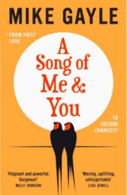 A Song of Me and You Mike Gayle 你和我之歌 麦克 盖尔 英文原版 爱情小说