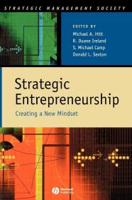 Strategic Entrepreneurship 战略企业家精神