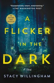 A Flicker in the Dark 黑暗中的闪烁 英文原版