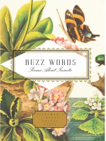 关于昆虫的流行语诗歌 Buzz Words Poems About Insects