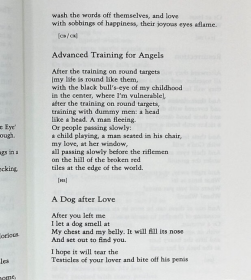 耶胡达 阿米亥诗选 英文原版 Yehuda Amichai Selected Poems