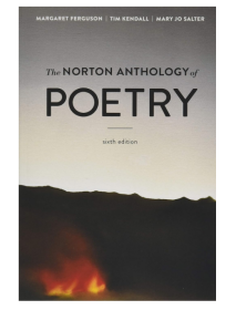 诺顿诗集 The Norton Anthology of Poetry 英文原版