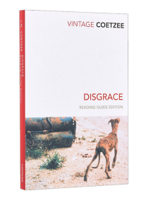 Disgrace:ReadingGuideEdition(VintageClassics)