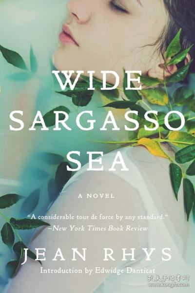 藻海无边 英文原版 Wide Sargasso Sea