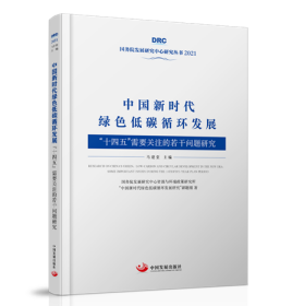 中国新时代绿色低碳循环发展：“十四五”需要关注的若干问题研究【2021年国务院发展研究中心丛书】