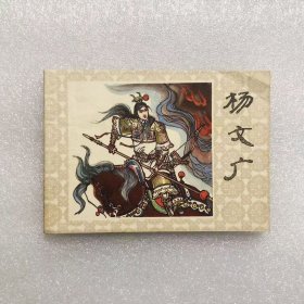 64开连环画杨文广 小人书名家窦世魁绘画