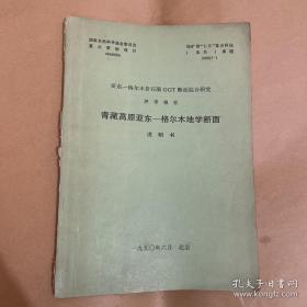 青藏高原亚东——格尔木地学断面 说明书