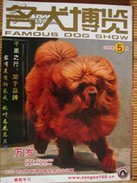 名犬博览2009年5月藏獒专刊