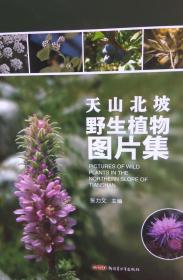 天山北坡野生植物图片集