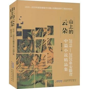 山上的云朵：2019—2020年安徽省中篇小说精品集