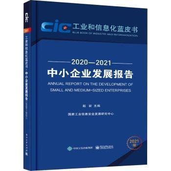 中小企业发展报告（2020—2021）