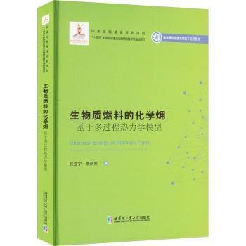 生物质燃料的化学？：基于多过程热力学模型（2020新能源基金）