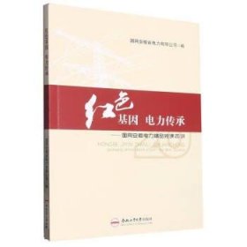 红色基因电力传承——国网安徽电力精品党课20讲