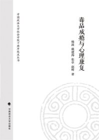 中国政法大学社会学院十周年院庆丛书：毒品成瘾与心理康复