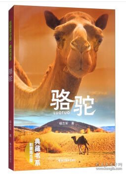 骆驼（影像青少版）/典藏书系