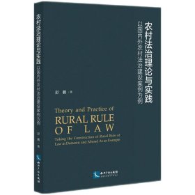 农村法治理论与实践——以国内外农村法治建设案例为例