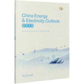 正版新书现货 China energy & electricty outlook:2019 国网能源