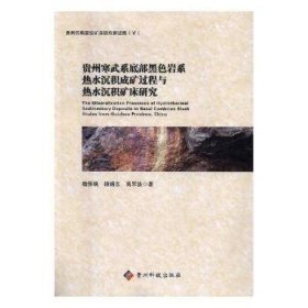 全新正版图书 贵州寒武系底部黑色岩系热水沉积成矿过程与热水沉积矿床研究魏怀瑞贵州科技出版社9787553205687 黎明书店