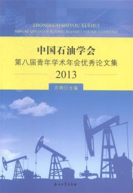 中国石油学会第八届青年学术年会优秀论文集（2013）