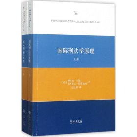 国际刑法学原理（套装全两册）