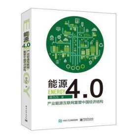 全新正版图书 能源4.0：产业能源互联网重塑中国济结构顾为东电子工业出版社9787121309137 黎明书店