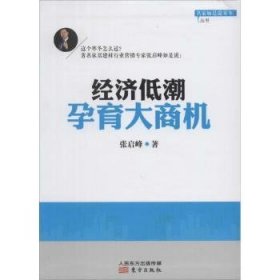 名家如是说寒冬丛书：经济低潮孕育大商机