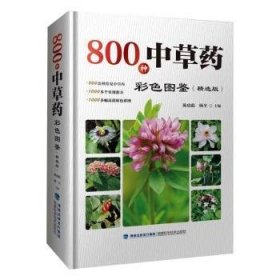 全新正版图书 800种中草彩色图鉴（版）陈虎彪福建科学技术出版社9787533559335 黎明书店