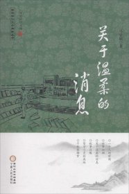 回族当代文学典藏丛书 杨宏峰作品：关于温柔的消息