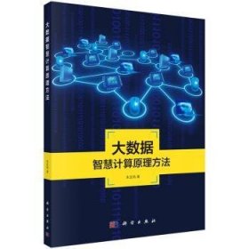 地理信息系统理论与应用丛书：大数据智慧计算原理方法