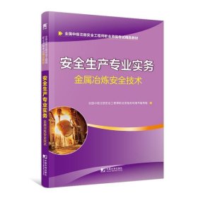 全新正版现货  安全生产专业实务:金属冶炼安全技术