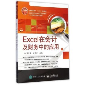 Excel在会计及财务中的应用