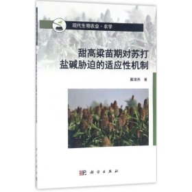 全新正版现货  甜高粱苗期对苏打盐碱胁迫的适应性机制