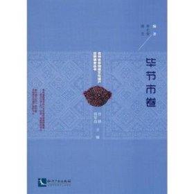 贵州省非物质文化遗产田野调查丛书（毕节市卷）