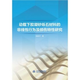 动载下胶凝砂砾石材料的非线性行为及损伤特性研究