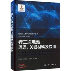 先进化工材料关键技术丛书--锂二次电池原理、关键材料及应用