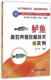 鲈鱼高效养殖致富技术与实例