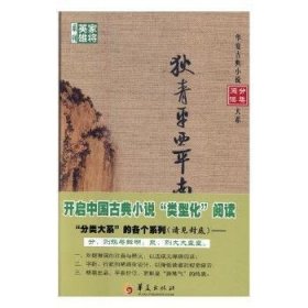 狄青平西平南/华夏古典小说分类阅读大系，家将英雄系列