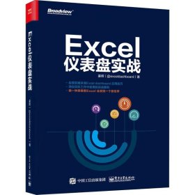 全新正版现货  Excel仪表盘实战 9787121354038