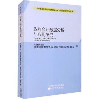 政府会计数据分析与应用研究