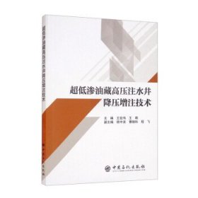 全新正版现货  超低渗油藏高压注水井降压增注技术 9787511461520