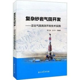 复杂砂岩气田开发——涩北气田高效开发技术实践