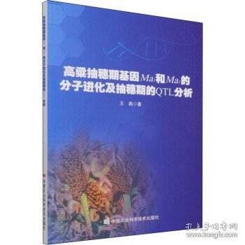 高粱抽穗期基因Ma₁和Ma₃的分子进化及抽穗期的QTL分析