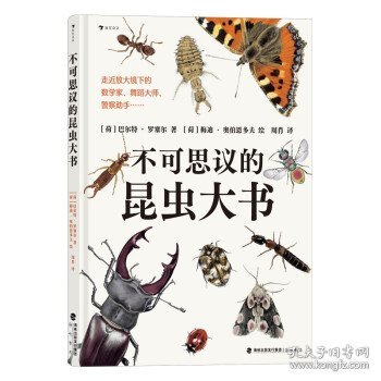 不可思议的昆虫大书