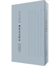 全新正版现货  辽金元文学史 9787215104846