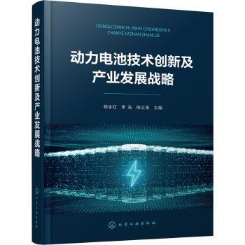 动力电池技术创新及产业发展战略