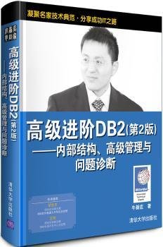 高级进阶DB2：内部结构、高级管理与问题诊断（第2版）
