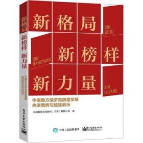 新格局 新榜样 新力量——中国地方经济高质量发展先进案例与经验启示