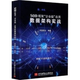 全新正版图书 SOD框架“企业级”应用数据架构实战深蓝医生北京航空航天大学出版社9787512432109 黎明书店