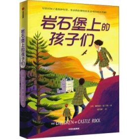 全新正版图书 岩石堡上的孩子们娜塔莎·法兰特中信出版集团股份有限公司9787521738315 黎明书店