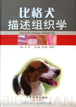 比格犬描述组织学